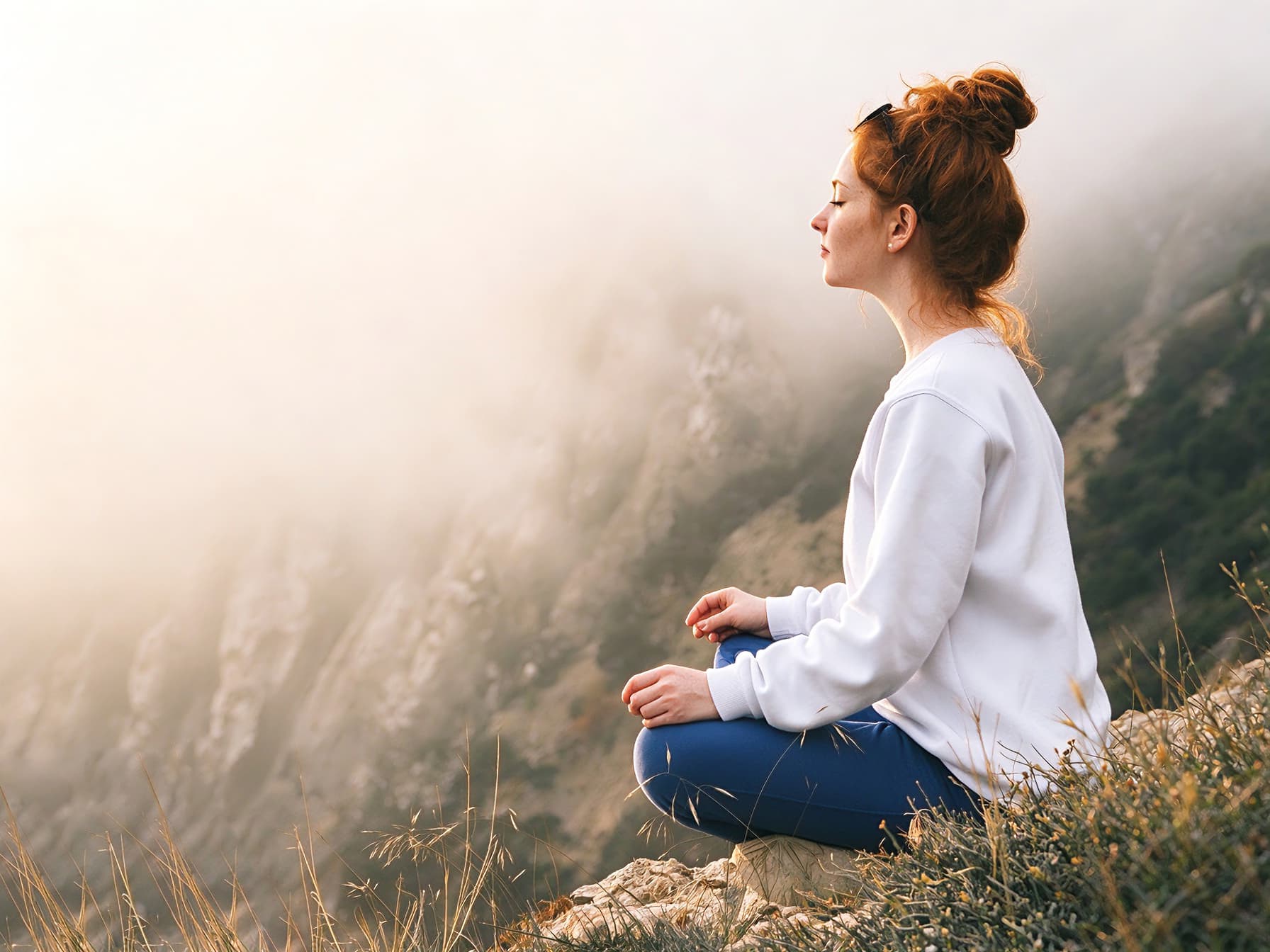 Stress, Sleep & Wellness